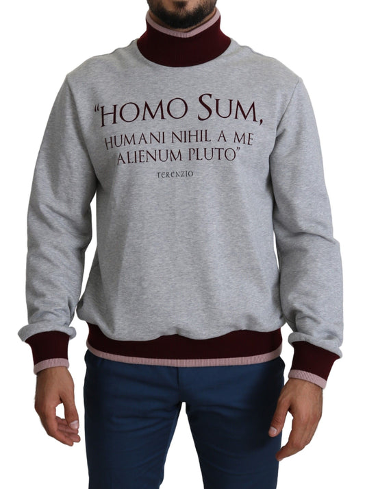 Elegante jersey gris de cuello alto con motivo latino
