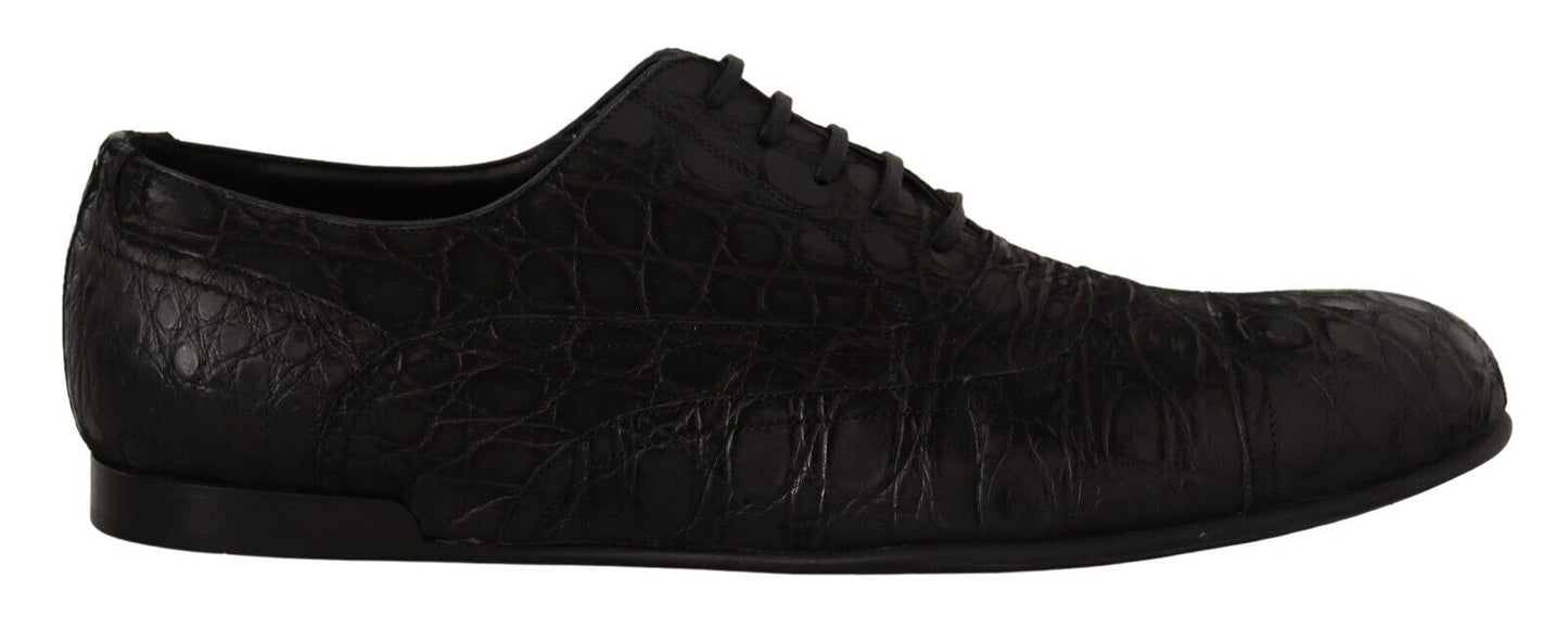 Elegantes zapatos Oxford de piel exótica