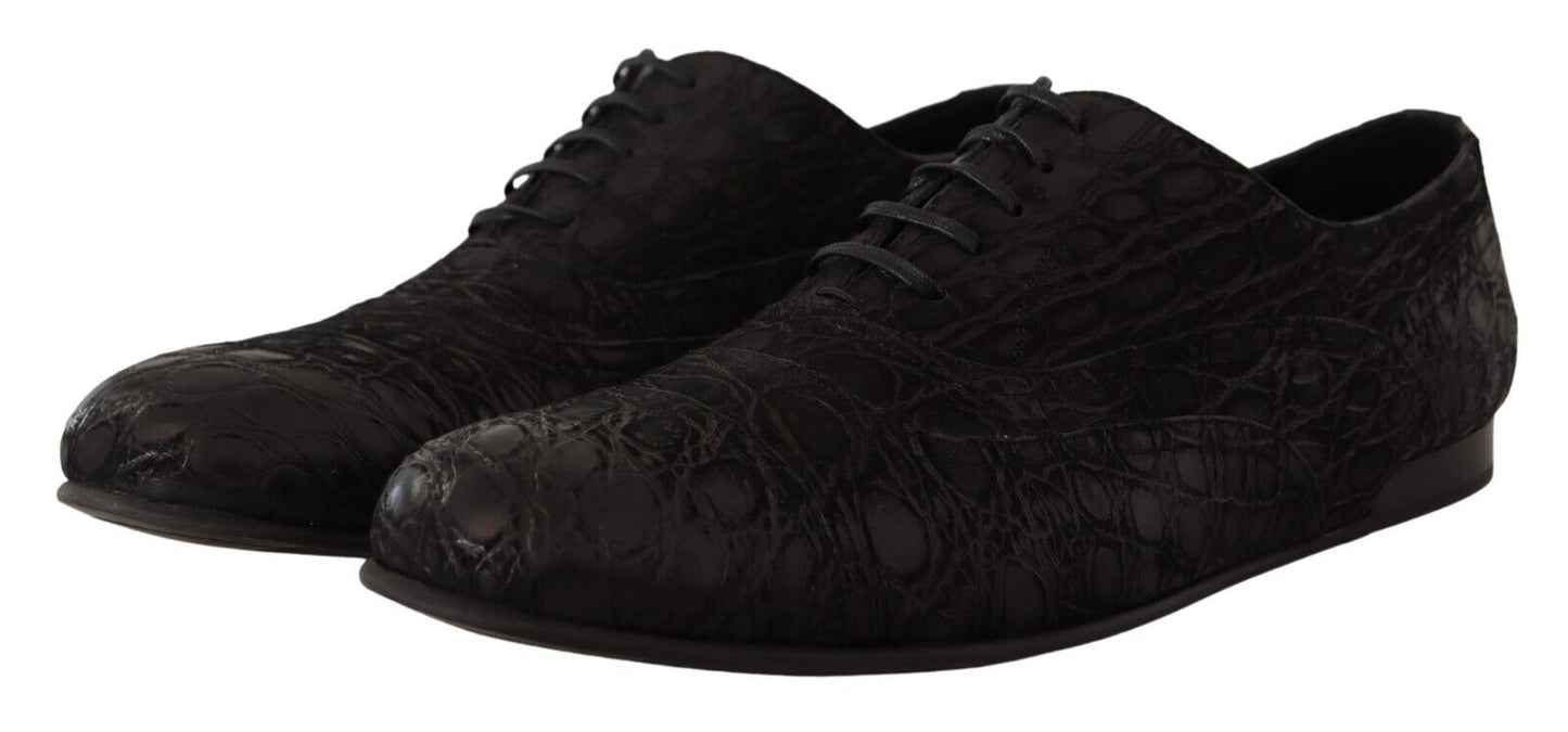 Elegantes zapatos Oxford de piel exótica
