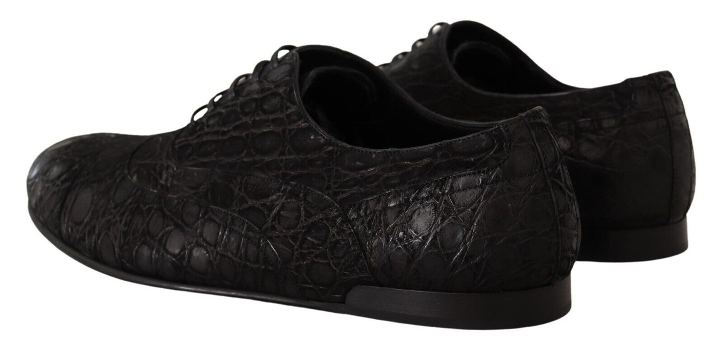 Elegantes zapatos Oxford de piel exótica