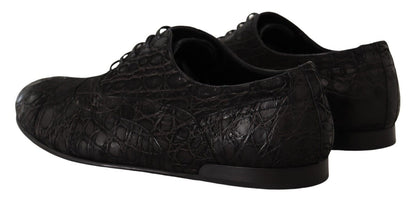Elegantes zapatos Oxford de piel exótica