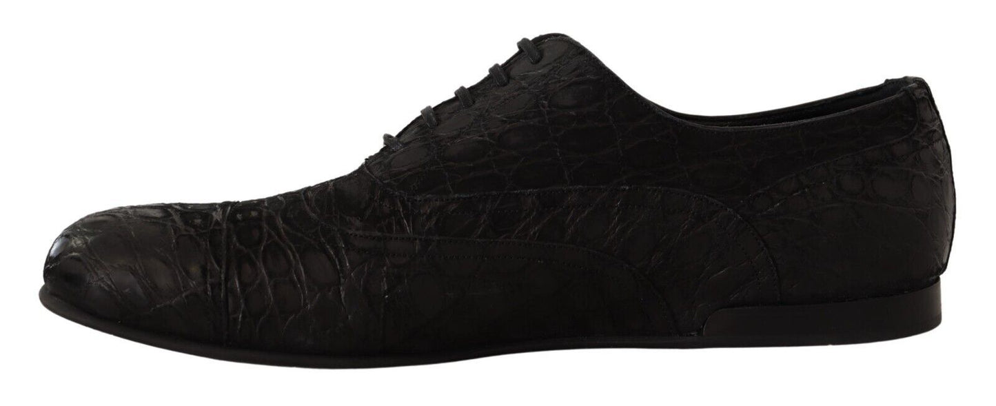 Elegantes zapatos Oxford de piel exótica