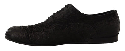 Elegantes zapatos Oxford de piel exótica
