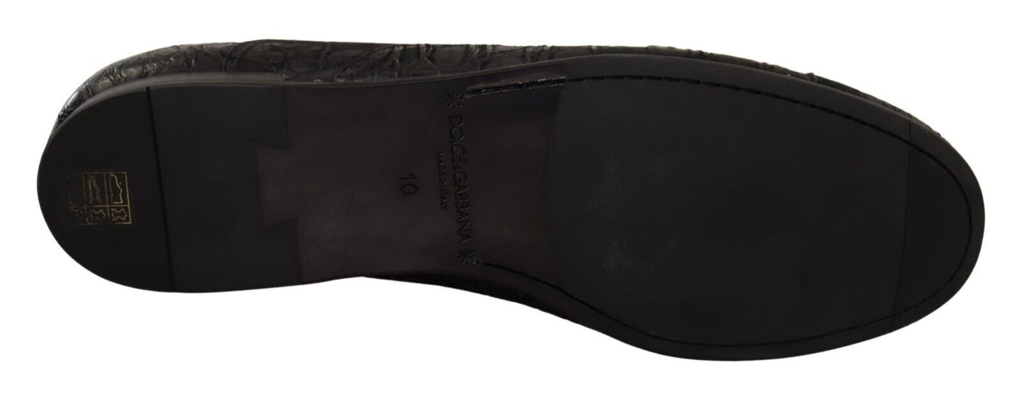 Elegantes zapatos Oxford de piel exótica